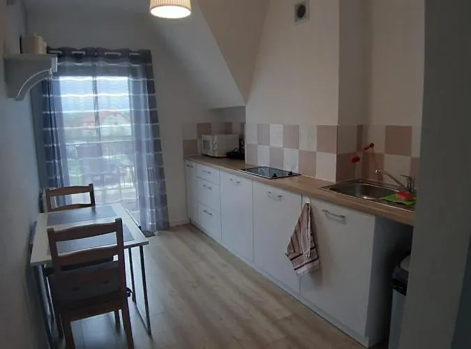 U Chudego Проживание в семье *