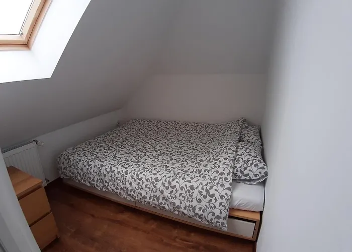 Проживание в семье U Chudego